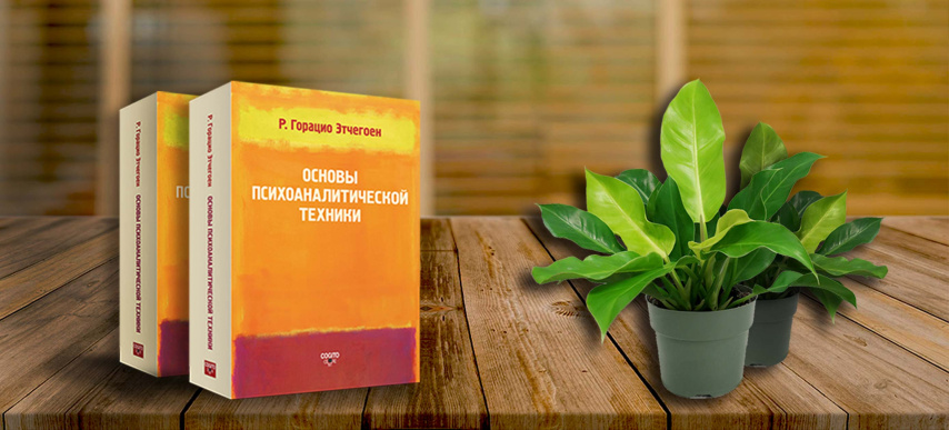 Основы психоаналитической техники           Р. Горацио Этчегоен  Глава 4. Психоаналитическое интервью: структура и цели